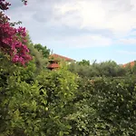 By The Sea - Perna, Peljesac - 4538