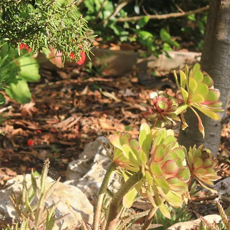 By The Sea - Perna, Peljesac - 4538 库希斯特