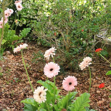 By The Sea - Perna, Peljesac - 4538 Daire Kuciste