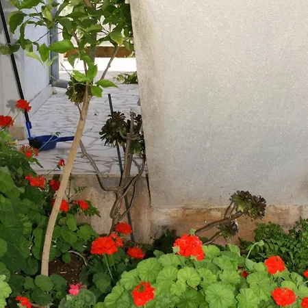 Daire By The Sea - Perna, Peljesac - 4538 Kuciste