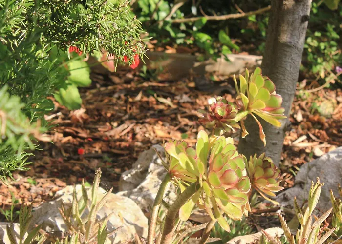 By The Sea - Perna, Peljesac - 4538 库希斯特