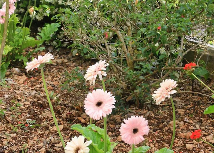 By The Sea - Perna, Peljesac - 4538 公寓 库希斯特