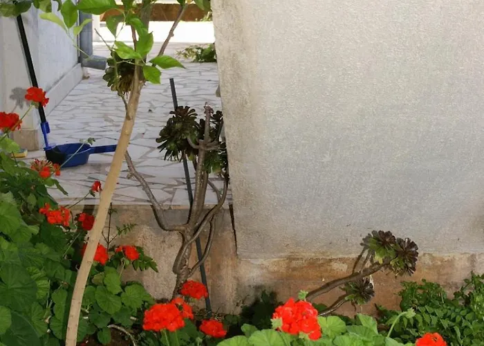 公寓 By The Sea - Perna, Peljesac - 4538 库希斯特